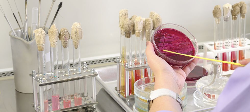 Biotechnology Stocks in the Spotlight: Brookdale Senior Living, (NYSE:BKD), Akorn, (NASDAQ:AKRX), Hemispherx BioPharma, (NYSEMKT:HEB)