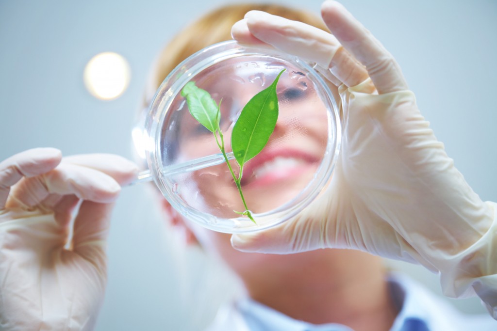 Market Runners Under Review – Magnum Hunter Resources, (NYSE:MHR), Supernus Pharmaceuticals, (NASDAQ:SUPN), Celldex Therapeutics, (NASDAQ:CLDX), Lion Biotechnologies, (NASDAQ:LBIO)