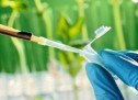 Healthcare Sector Investor’s Alert – Aoxing Pharmaceutical Company, Inc. (NYSEMKT:AXN), CorMedix, Inc. (NYSEMKT:CRMD), Celsion Corp. (NASDAQ:CLSN), MEI Pharma, Inc. (NASDAQ:MEIP)