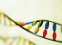 Story That Gives Atossa Genetics, Inc. (NASDAQ:ATOS) A Boost – Report On: Cyberonics Inc. (NASDAQ:CYBX), Amarin Corporation plc (NASDAQ:AMRN), Endologix Inc. (NASDAQ:ELGX)