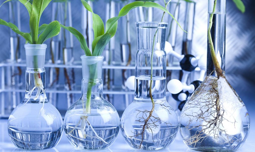 Healthcare Stocks In The Spotlight – Biocept, (NASDAQ:BIOC), Momenta Pharmaceuticals, (NASDAQ:MNTA), Signal Genetics, (NASDAQ:SGNL), Sunesis Pharmaceuticals, (NASDAQ:SNSS) Healthcare Stocks In The Spotlight – Biocept, (NASDAQ:BIOC), Momenta Pharmaceuticals, (NASDAQ:MNTA), Signal Genetics, (NASDAQ:SGNL), Sunesis Pharmaceuticals, (NASDAQ:SNSS)